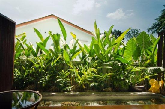 Mydream Guest House Ipoh Exterior foto